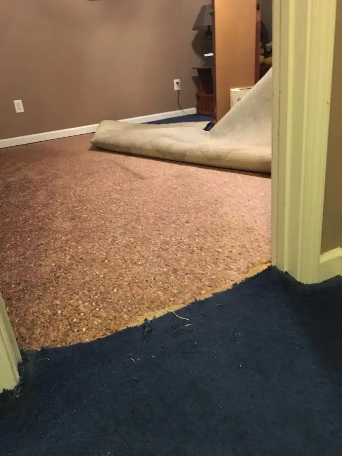 Carpet pad removal revealing water damage during Water Mitigation Services in St. Peters